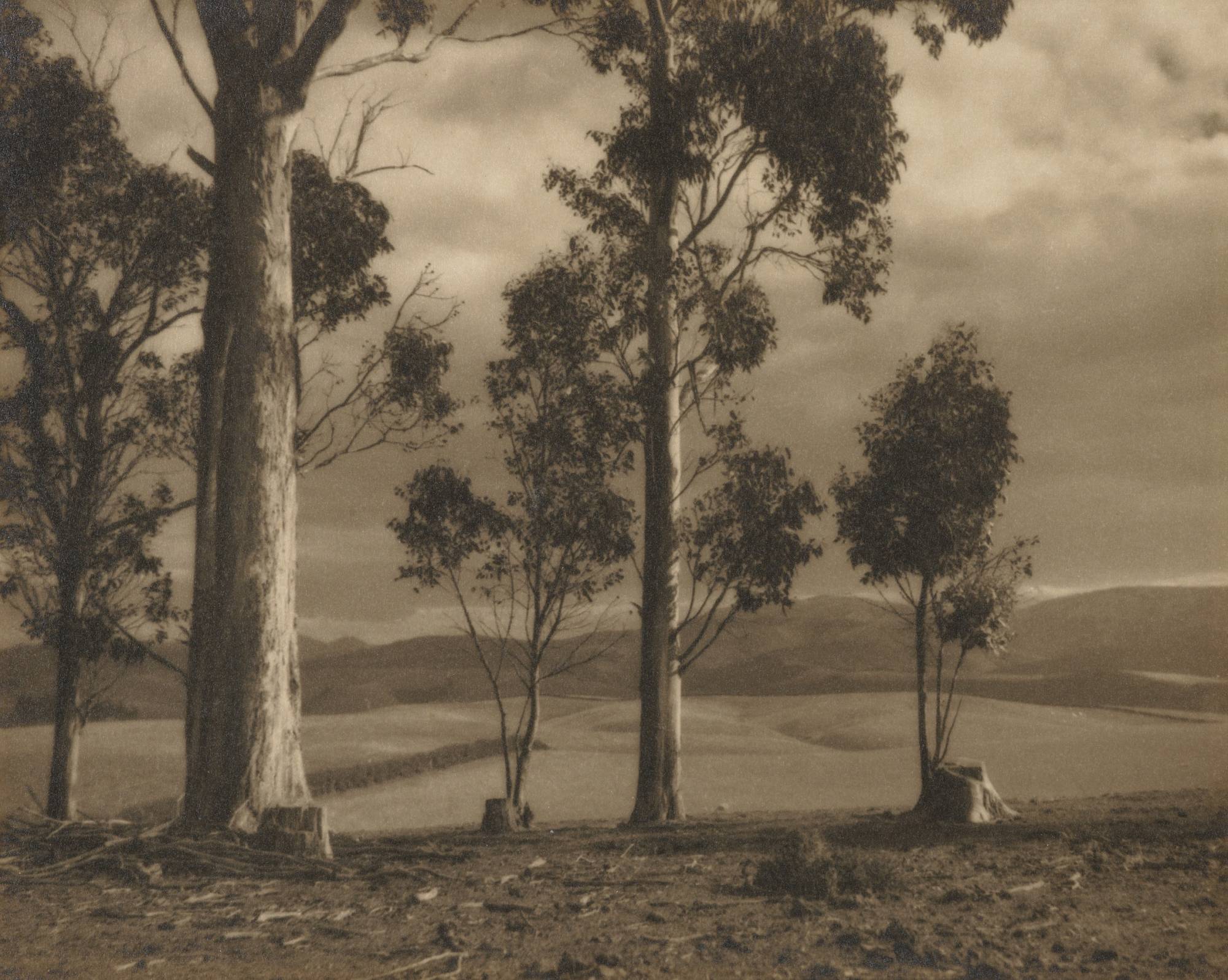 Storm, Wanaka, 1920s-1930s, Dunedin, by George Chance. Purchased 1999 with New Zealand Lottery Grants Board funds. Te Papa